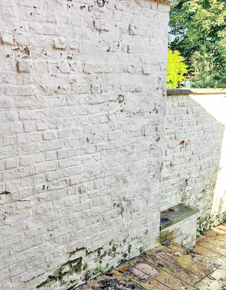mur-moisissure